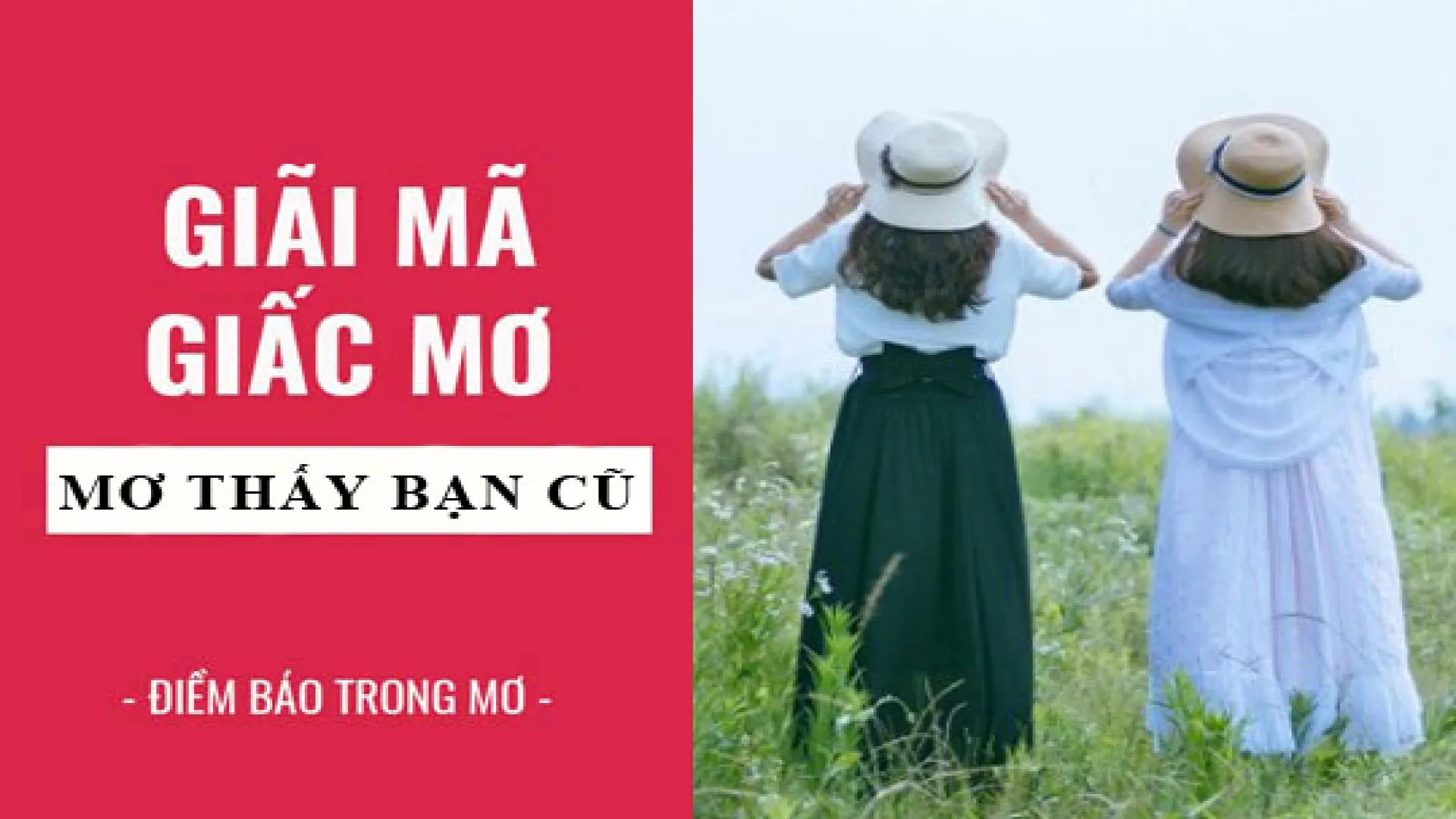 Mơ thấy bạn học cũ lâu ngày không gặp